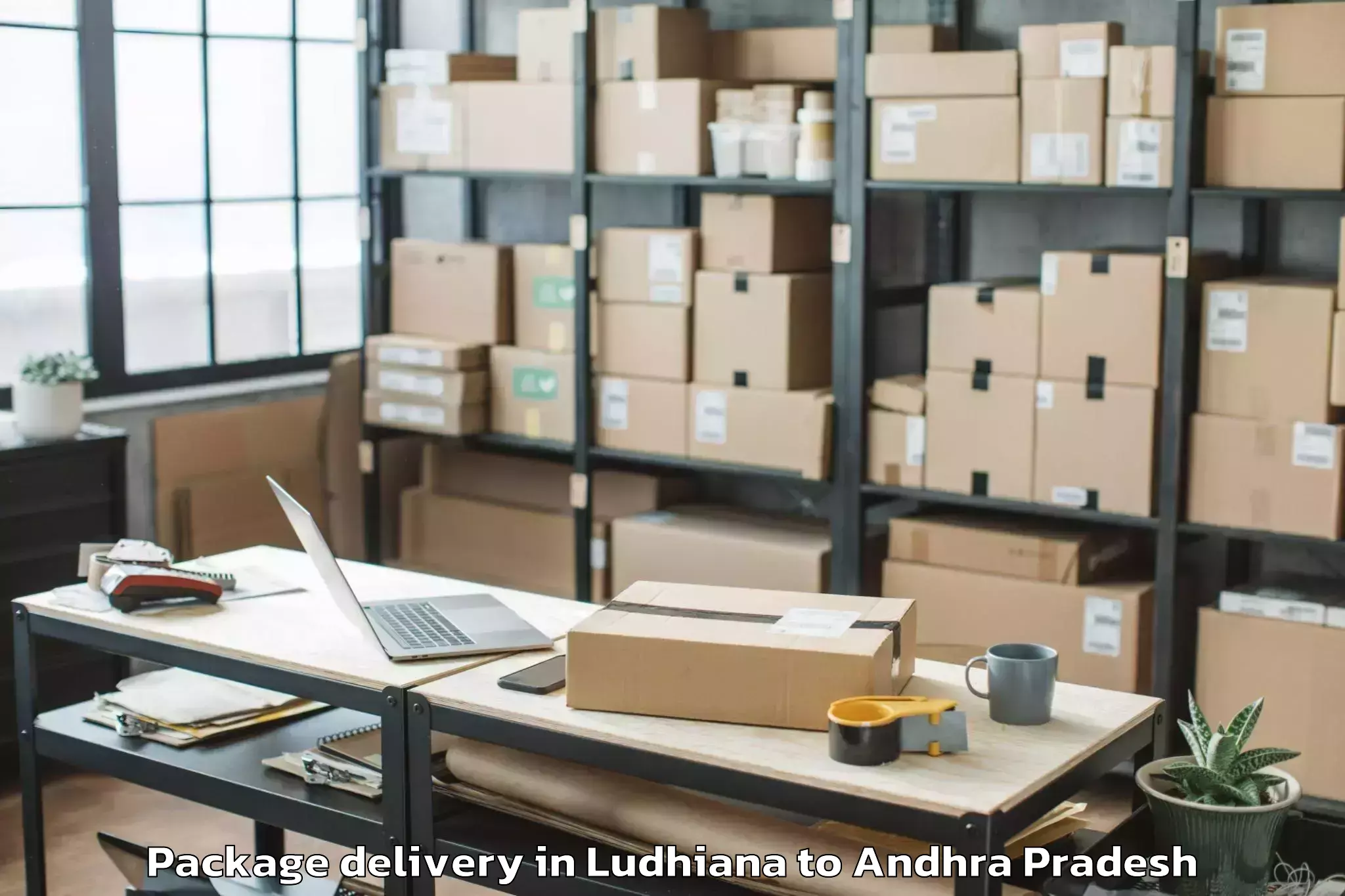 Book Ludhiana to Pellakuru Package Delivery Online